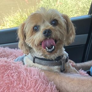 Meet your Posher, Karen